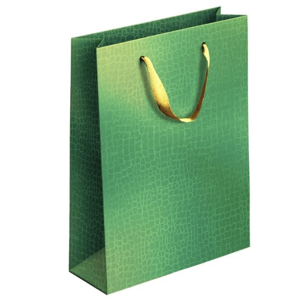 Embossed Metallic Paper Gift Bag Medium Assorted Colours P1900 (Large Letter Rate)