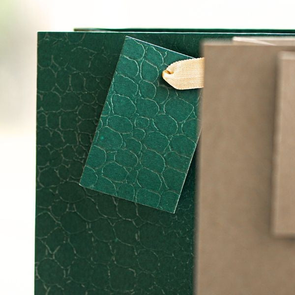 Embossed Matte Paper Gift Bag Medium Assorted Colours P1905 (Large Letter Rate)