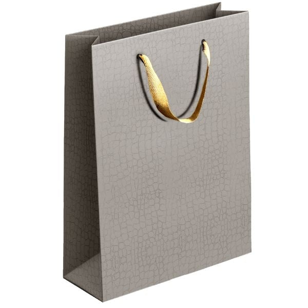 Embossed Matte Paper Gift Bag Medium Assorted Colours P1905 (Large Letter Rate)